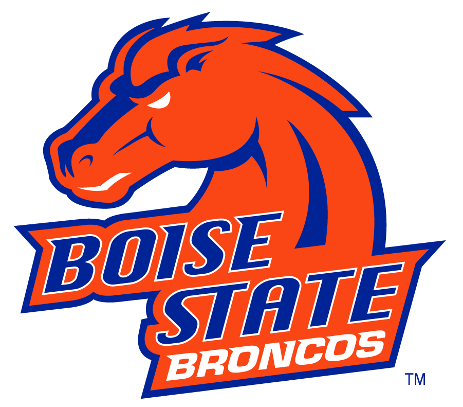 Boise State Broncos 2002-2012 Secondary Logo v16 diy iron on heat transfer